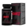 GigantX
